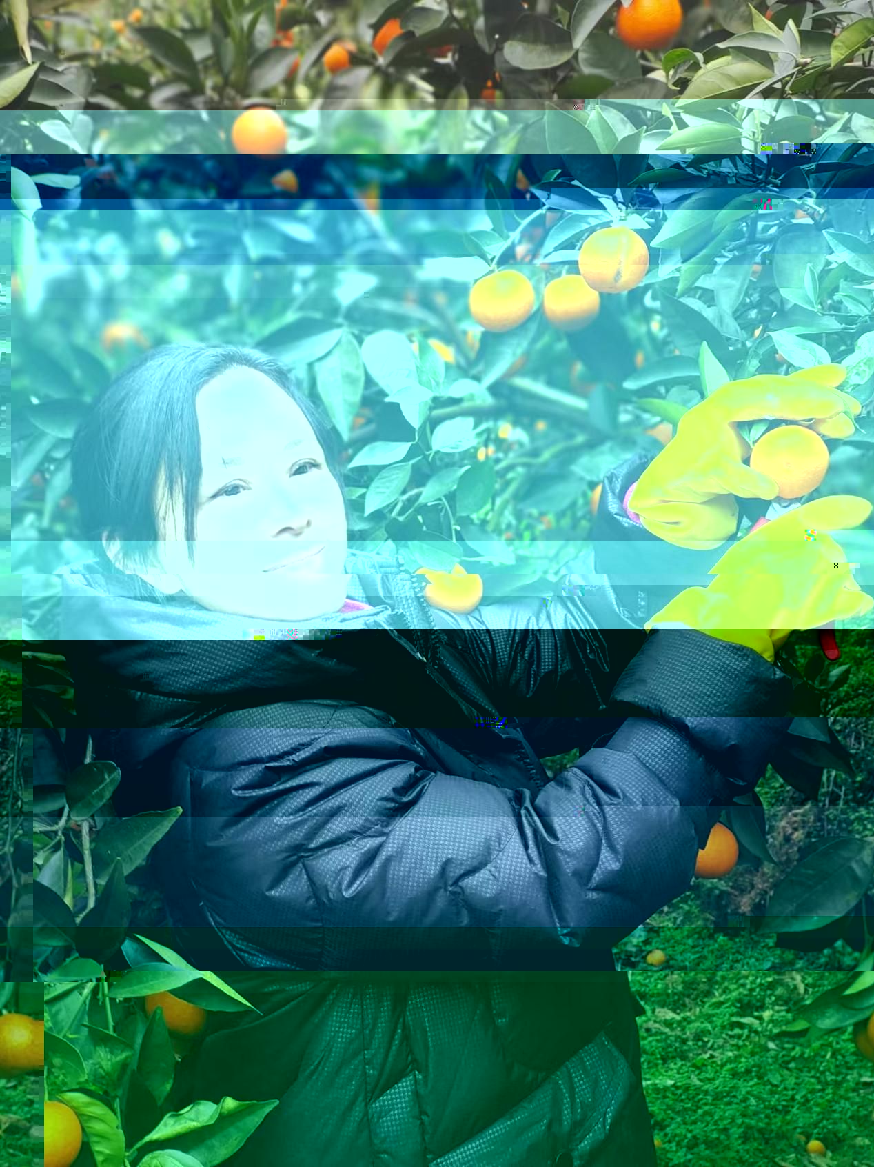 微信圖片_20240430122150
