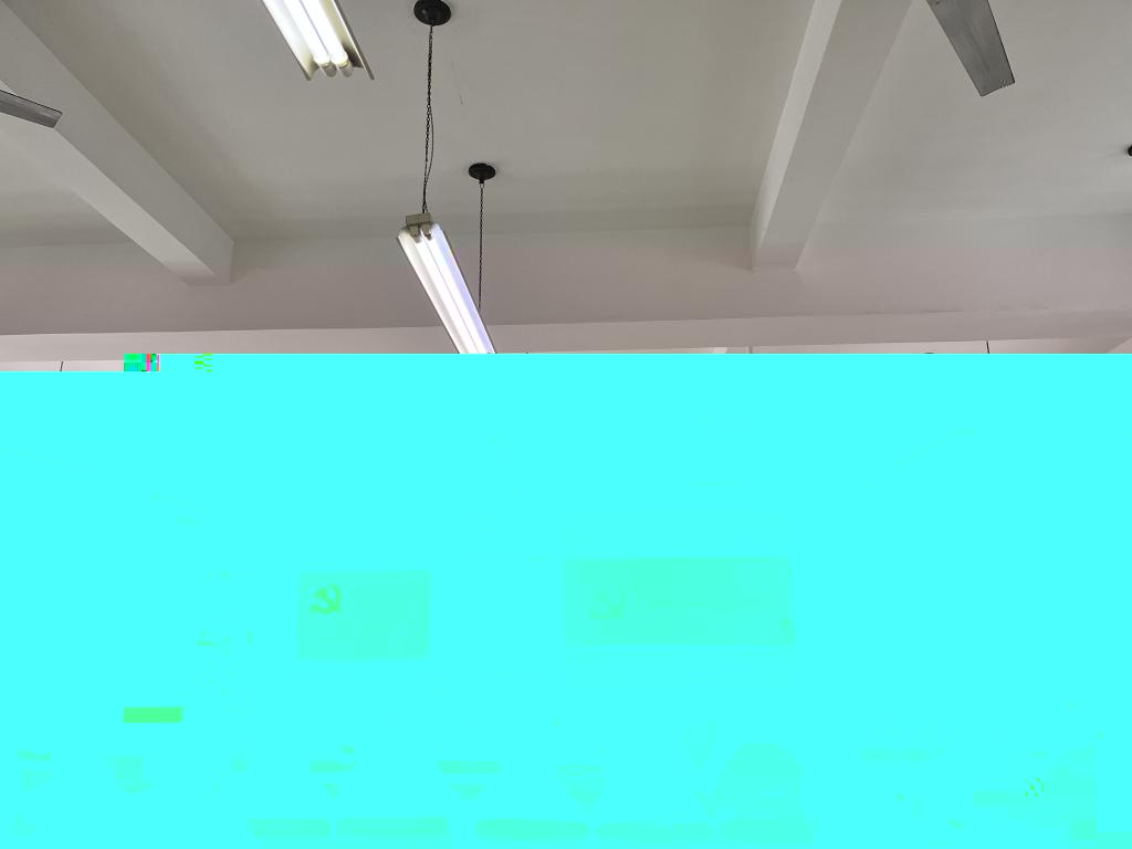 13065 13065