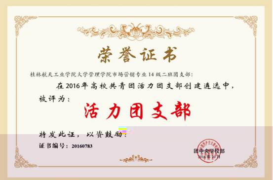 2016年高校共青團活力支部——2014級市場營銷2班團支部